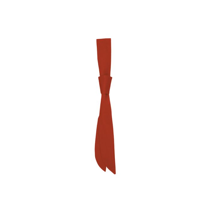 Serviceschleife rot