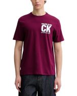 Calvin Klein Herren T-Shirt