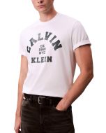 Calvin Klein Jeans Herren T-Shirt