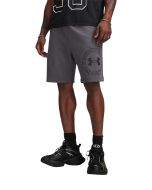 Under Armour Herren Bermuda