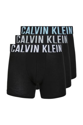 Calvin Klein Underwear Herren Unterwäsche