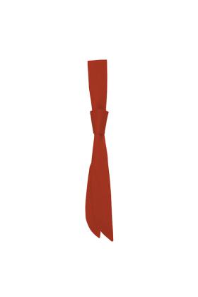 Serviceschleife rot