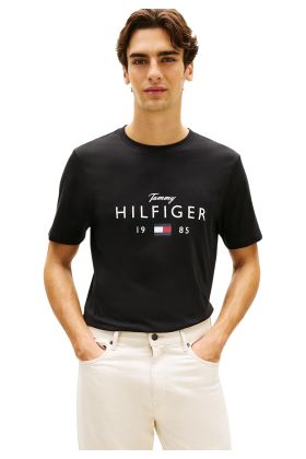 Tommy Hilfiger Jeans Herren T-Shirt